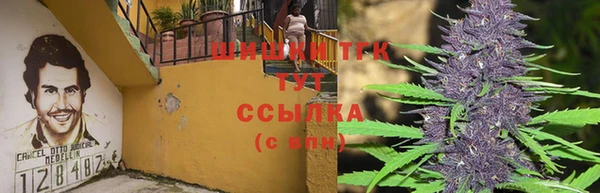 дурь Алзамай