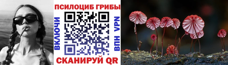 Псилоцибиновые грибы ЛСД Апрелевка