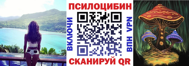 Галлюциногенные грибы Cubensis Апрелевка